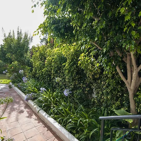 Rio Mar
