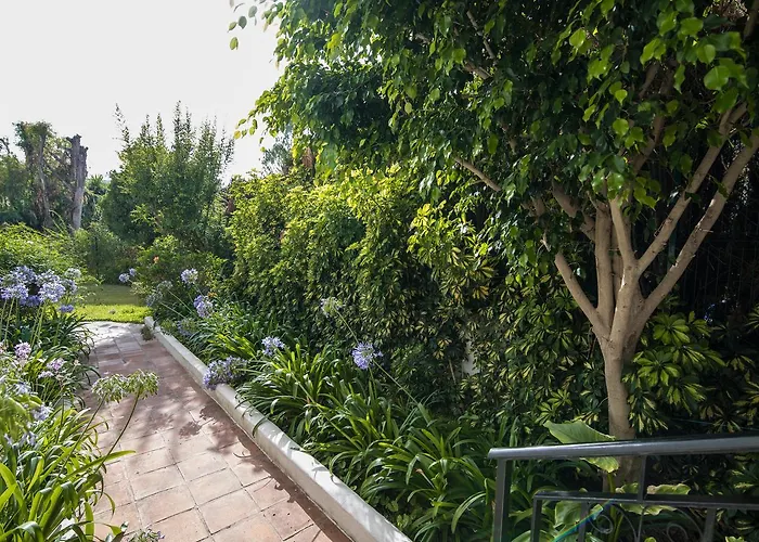 Rio Mar